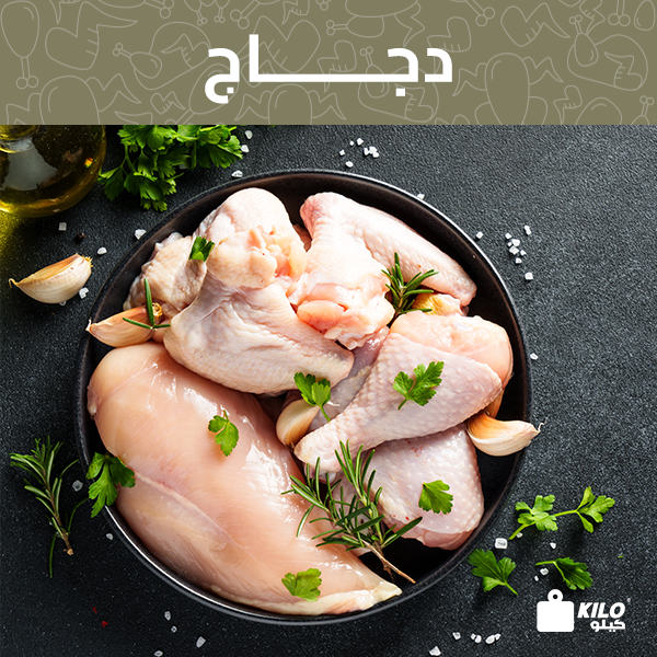 الدجاج